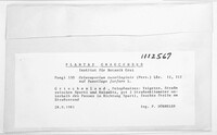 Image Associated With the Occurrence